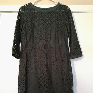 Ann Taylor Loft Green Lace Dress